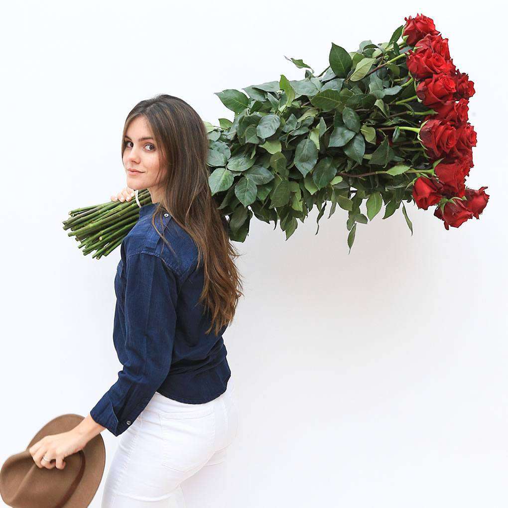 LONG ROSES - Red / 24 inches!! / 24 stems